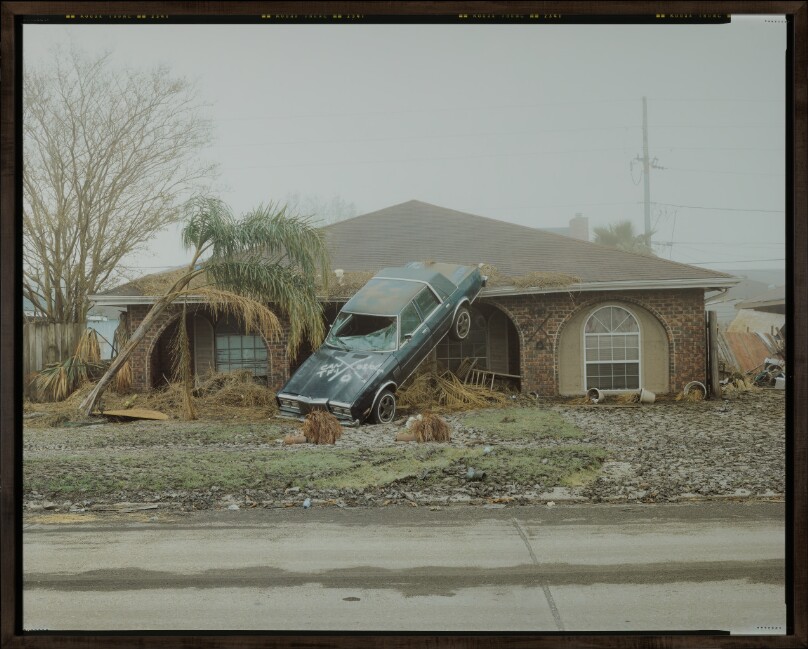 Katrina #590-05