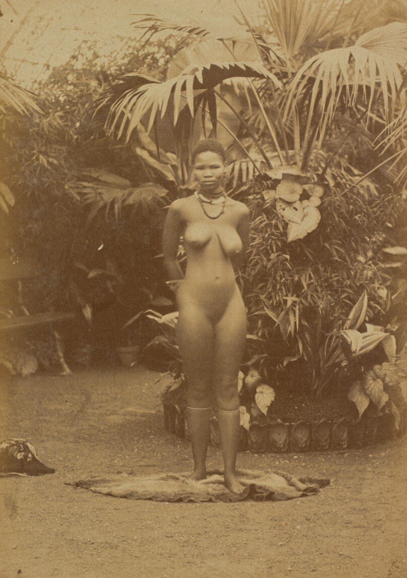 [South African Woman, Nude]