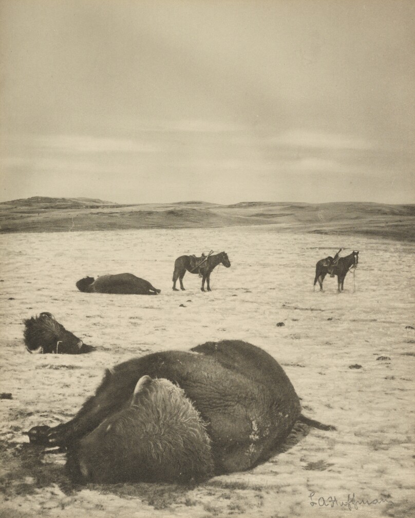[After the Chase, North Montana Range, M.T. Jan 82.]