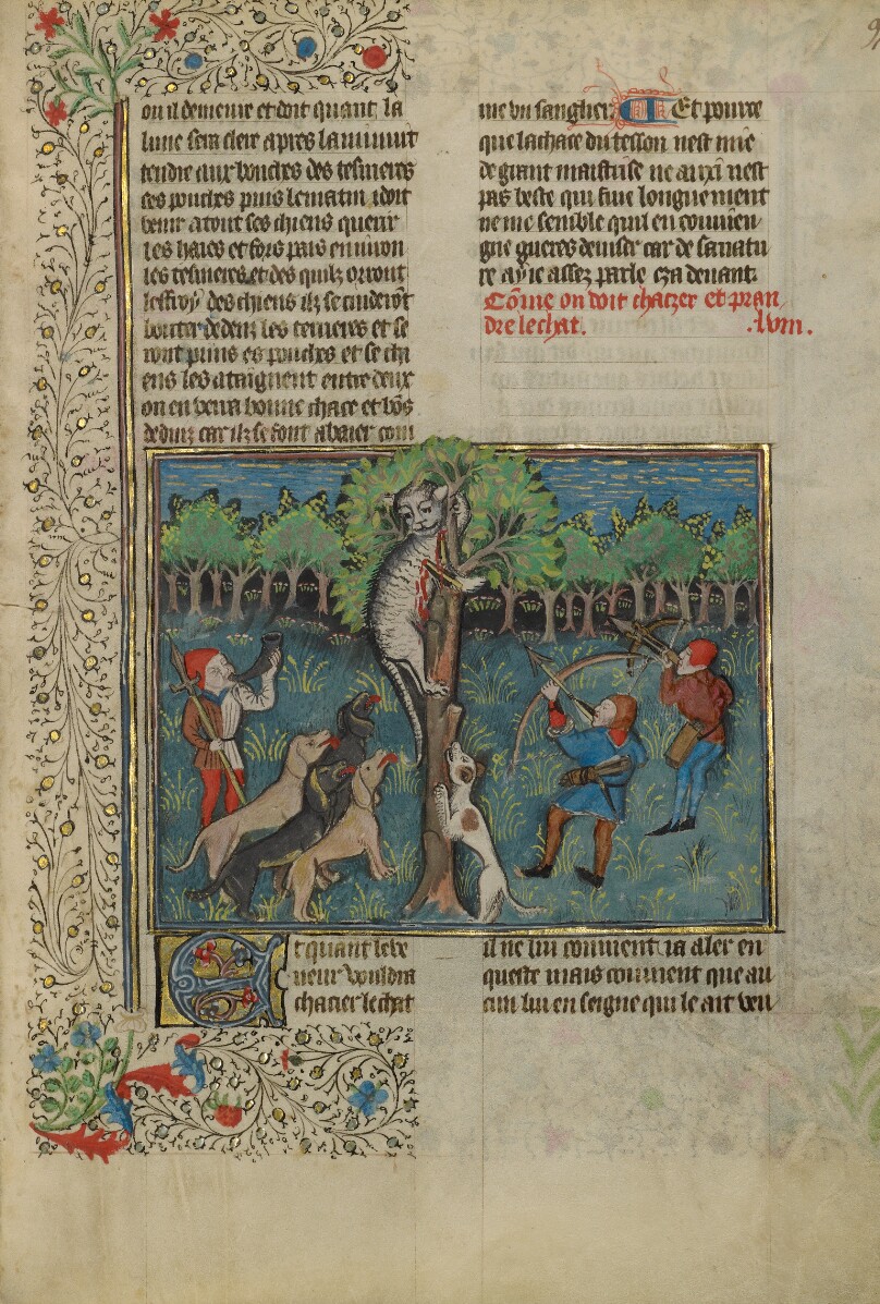 A Hunter and Dogs Attacking a Treed Wild Cat