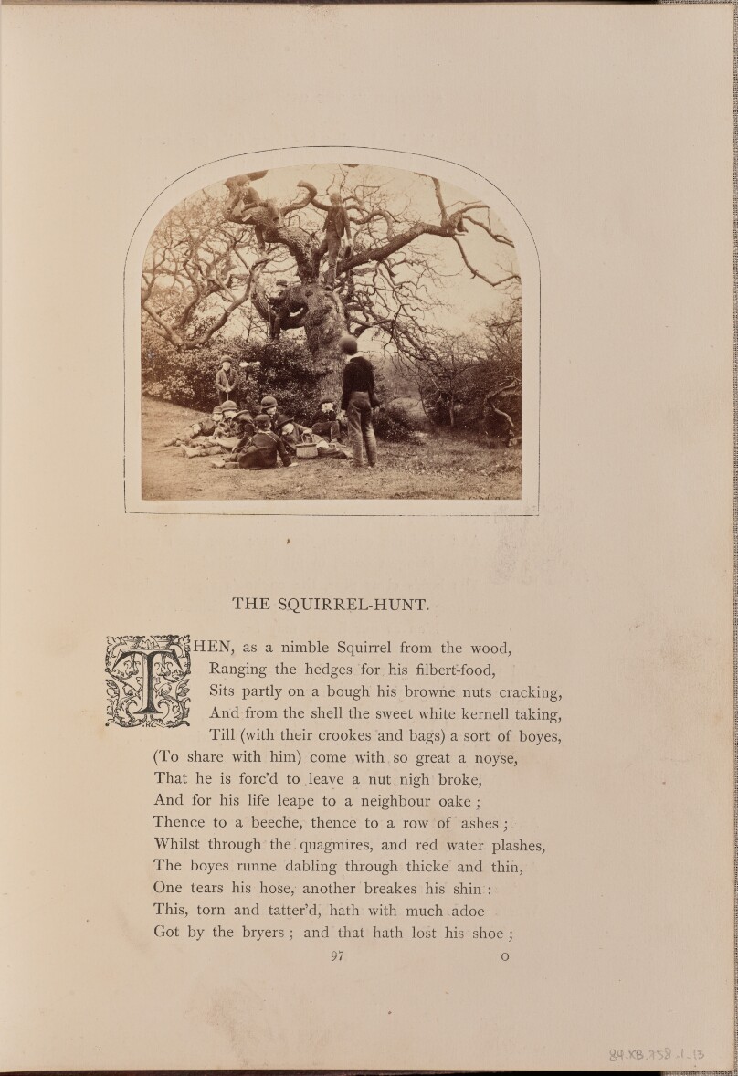 [Boys sitting under a tree, England]