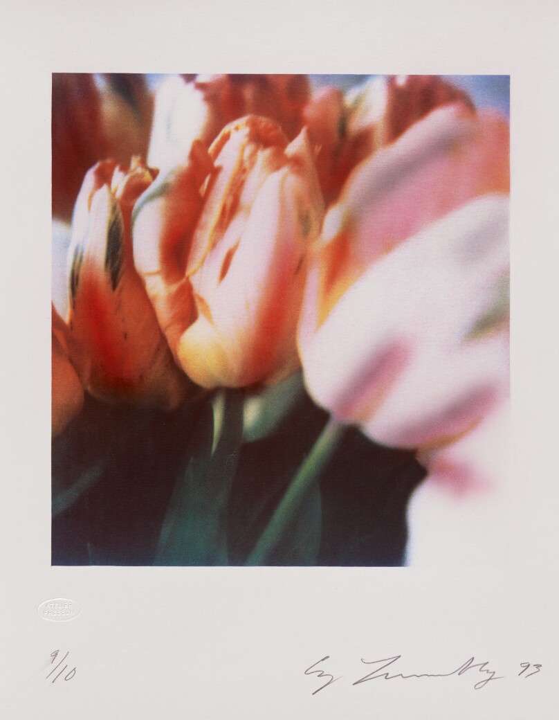 Tulips III no. 6