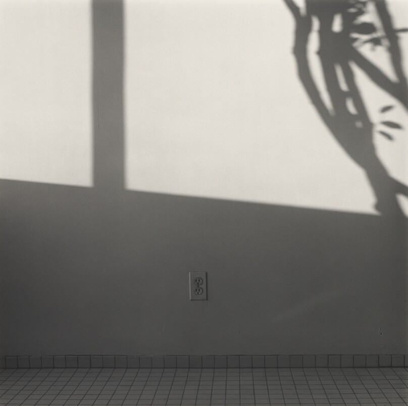Shadows