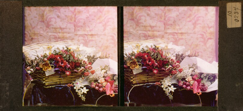 [Still life of flowers in a basket]