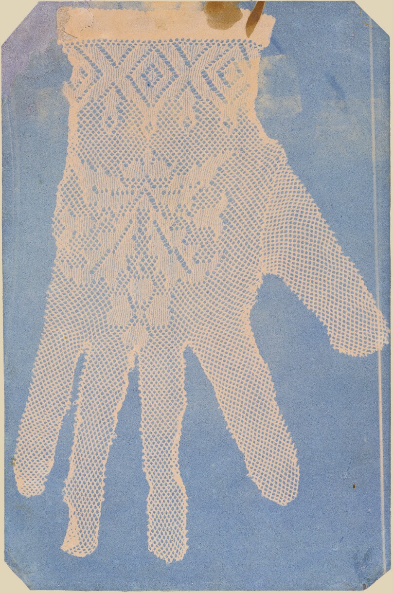 [Lace Glove]
