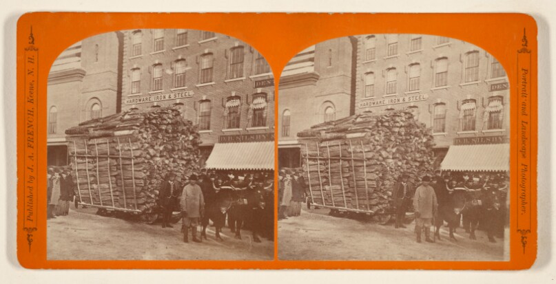 The Champion Load of Wood Drawn to the Cheshire Railroad Company, at the City of Keene, N.H., Feb. 6th, 1875, by Roswell Osgood.