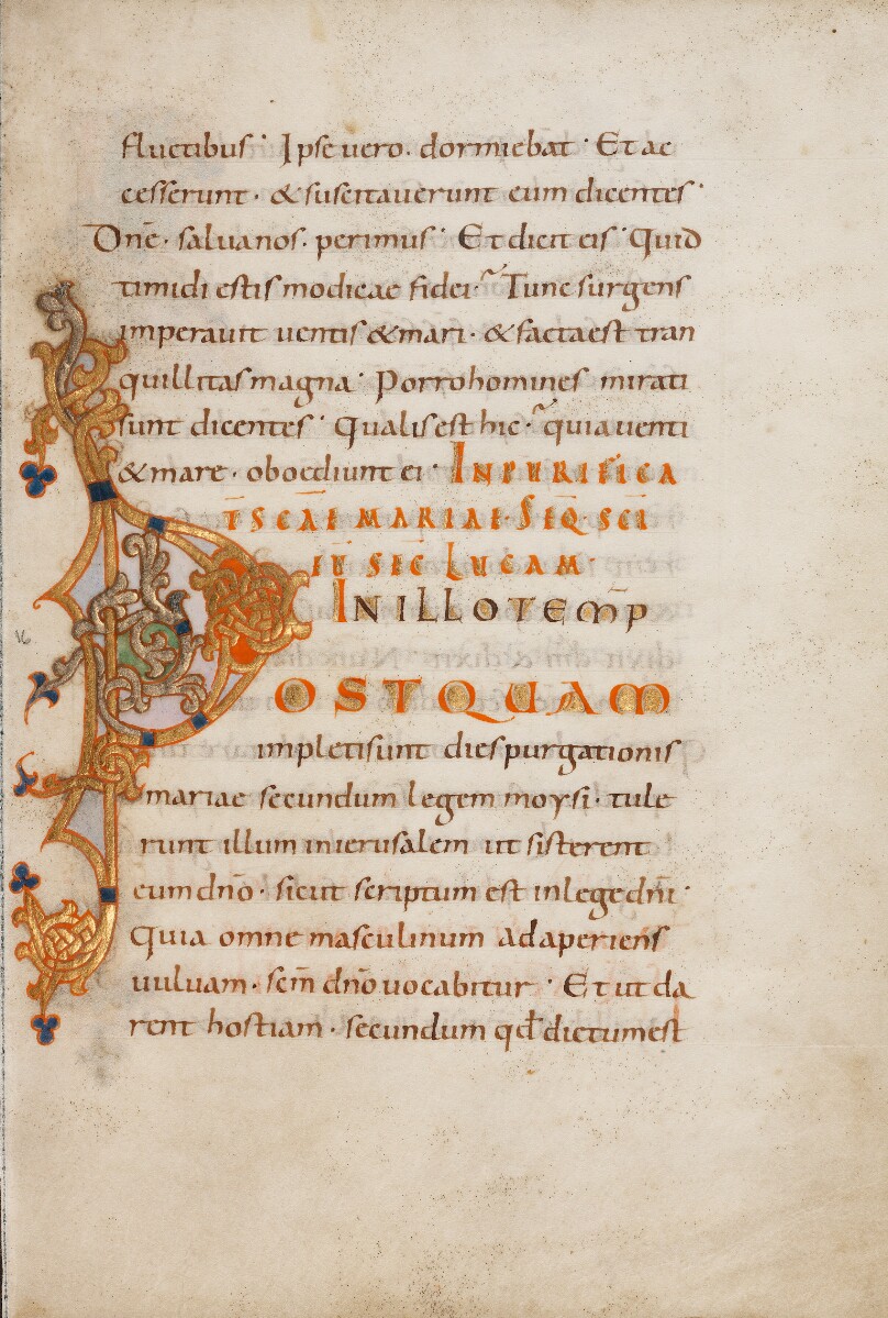 Decorated Initial P