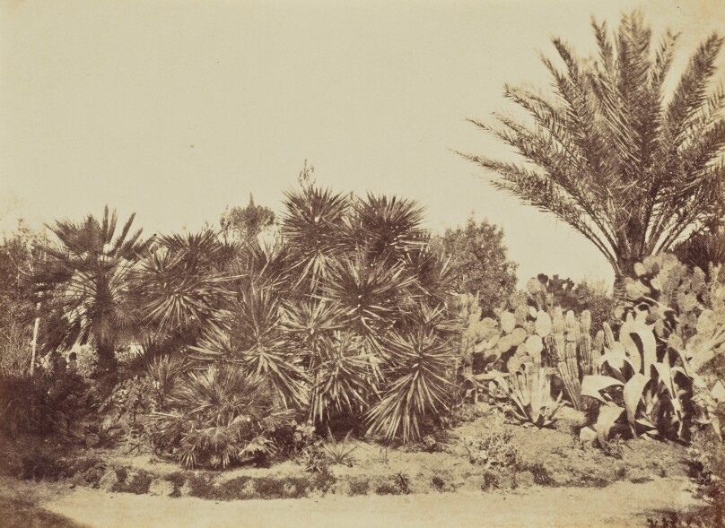 Garden on Monte Pincio, Rome