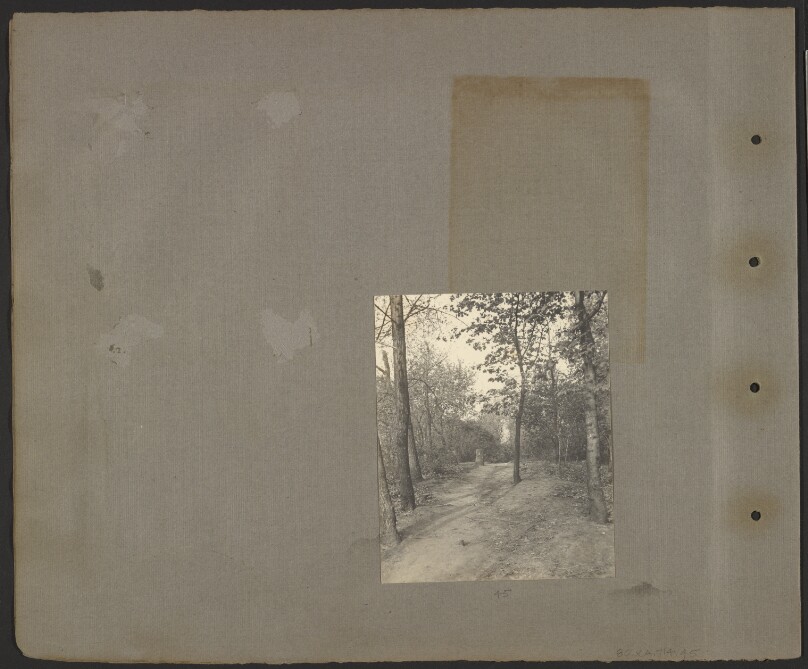 [Path in the woods]