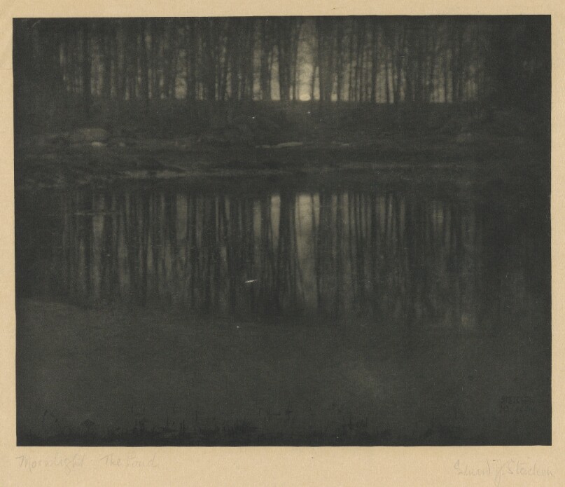 Moonlight: The Pond