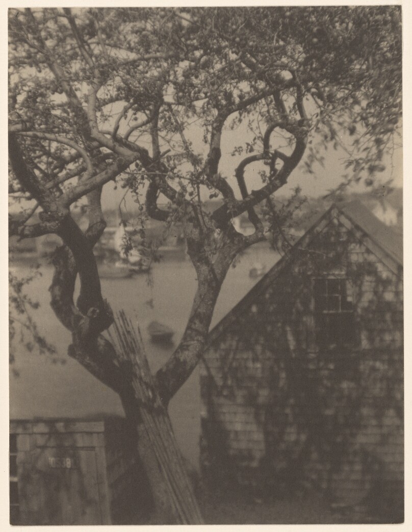 Harbor Scene, Probably Gloucester, Massachusetts