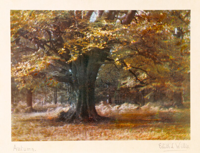 Autumn