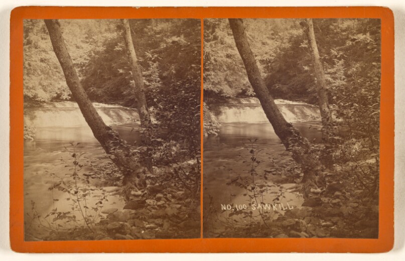 Sawkill, First Fall, from below. [Pike County, Pa.]