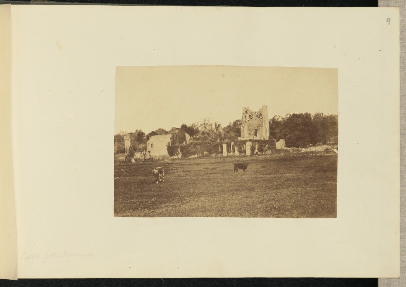 Castle of the Desmonds