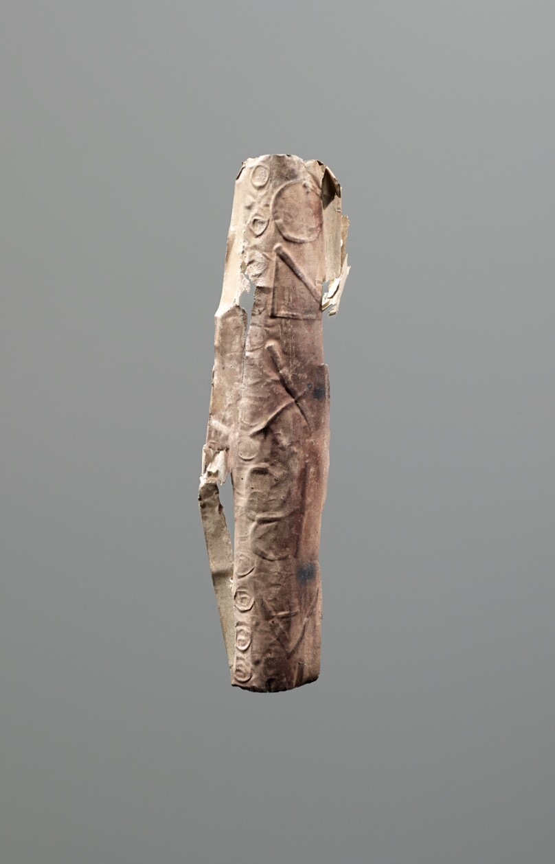 Lamella Case Fragment