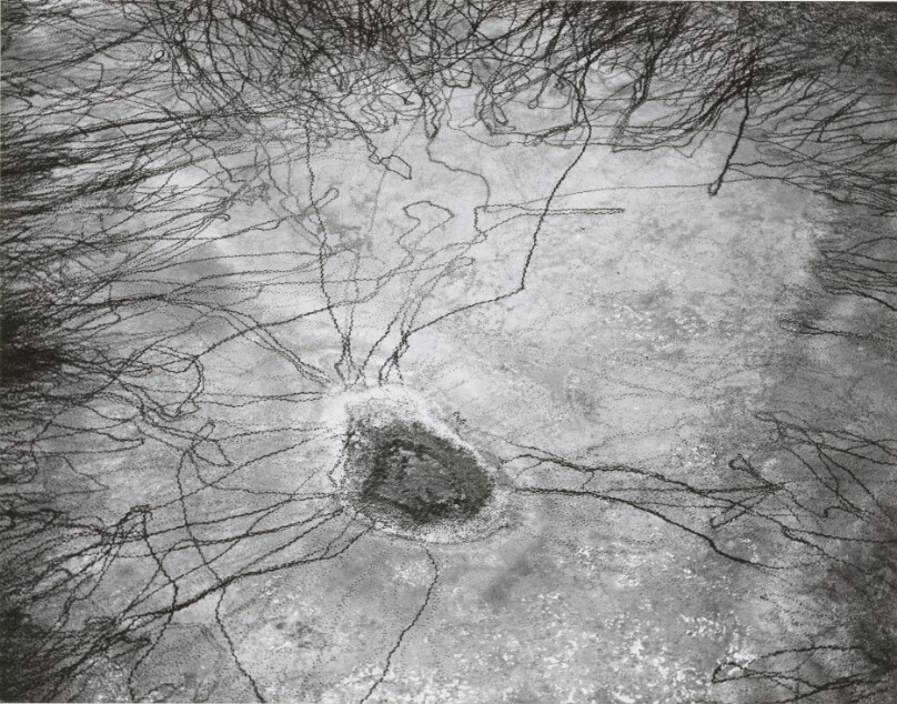 Water Hole with Cattle Tracks, Santa Fe Trail, West of Wagon Mound
