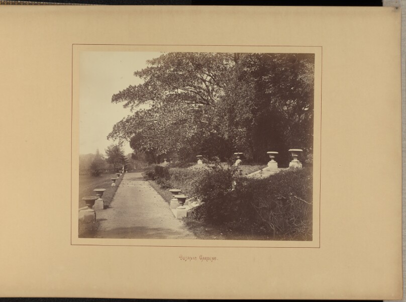 Botanic Gardens