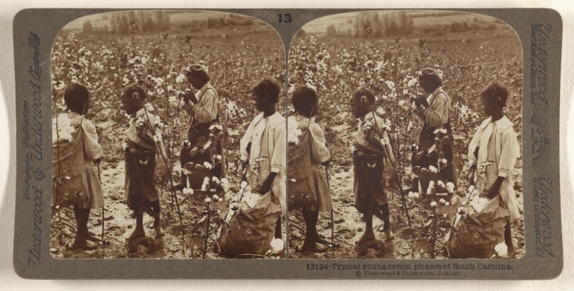 Typical Young Cotton Pickers of South Carolina.