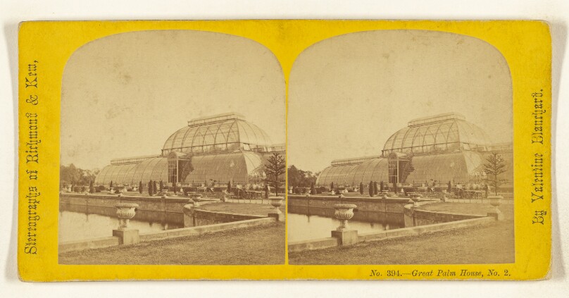 Great Palm House, No. 2. [London, England]