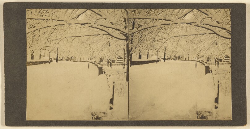 [Chestnut Avenue. Jamaica Plains, Mass.]