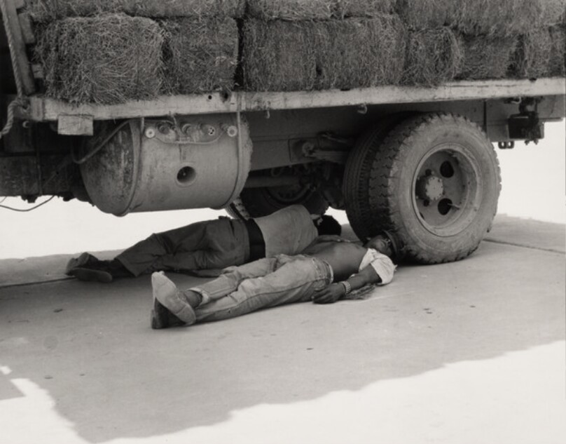 Siesta