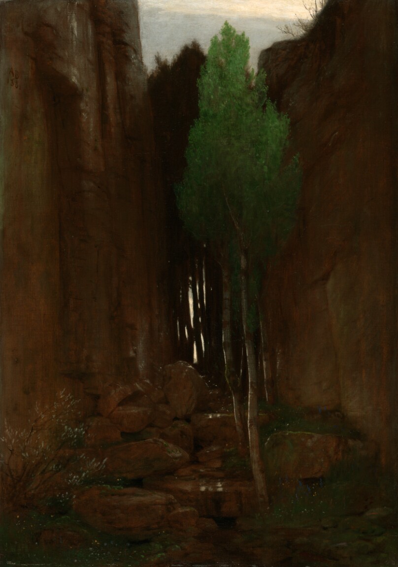 Spring in a Narrow Gorge (Quell in einer Felsschluct)