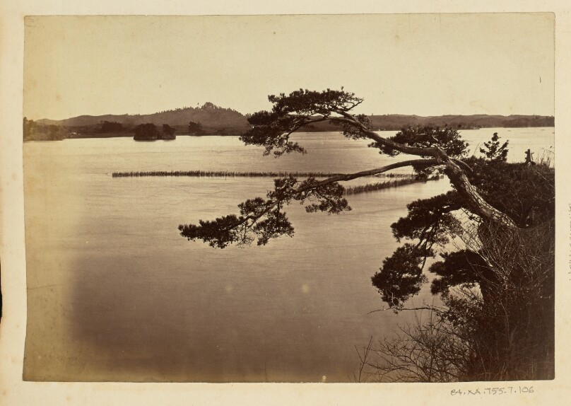 [Landscape with lake and trees]