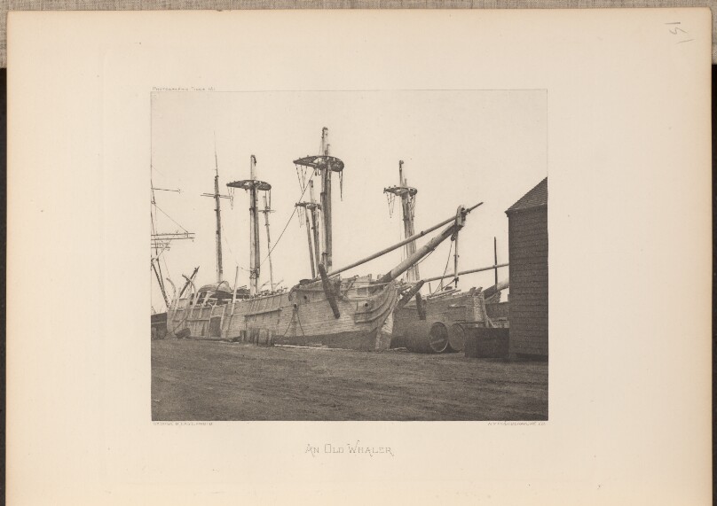 An Old Whaler