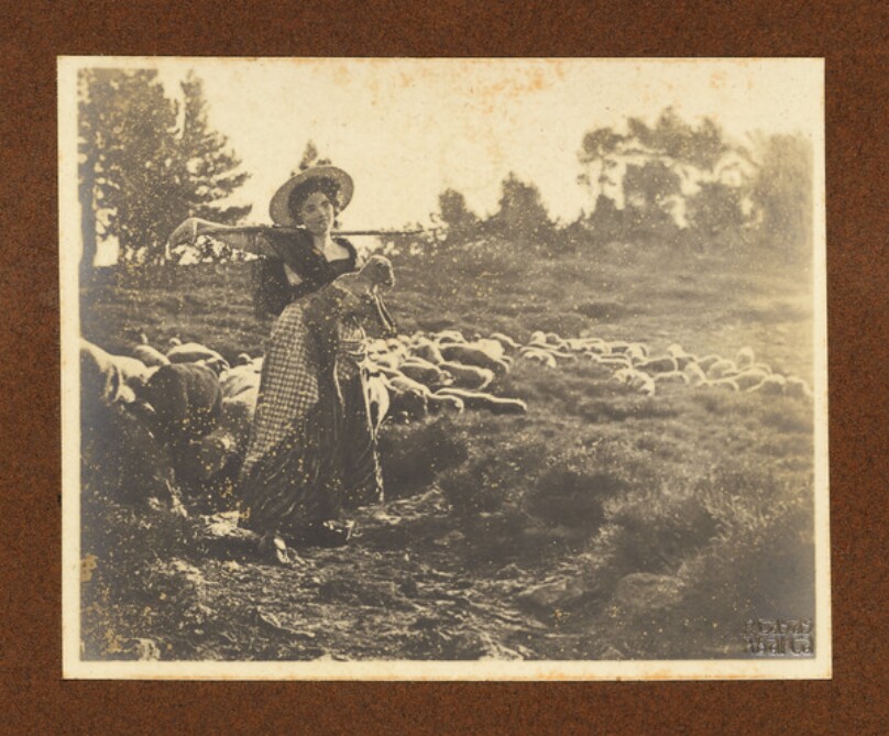 [Shepherd Girl]