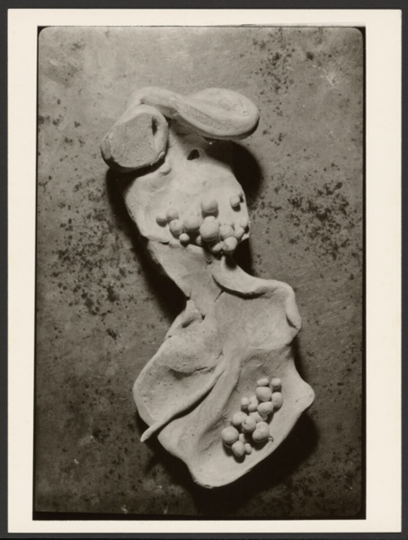 [Still life]