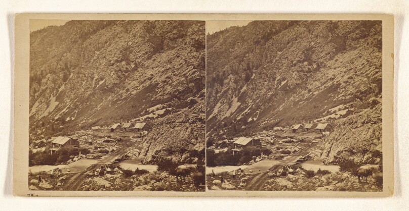 [Cottonwood Canyon, Utah]