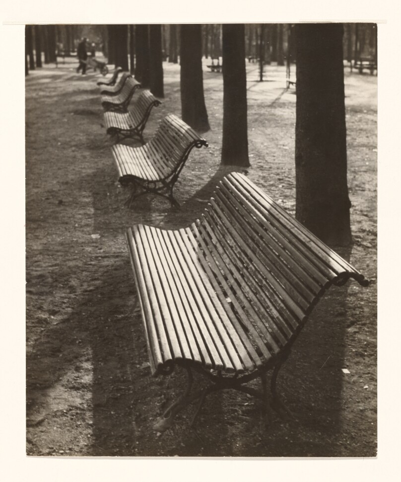 Jardin du Luxembourg, Printemps, Matin.