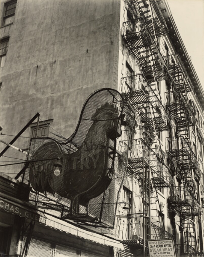[Lower East Side] / [Poultry Market, New York City]