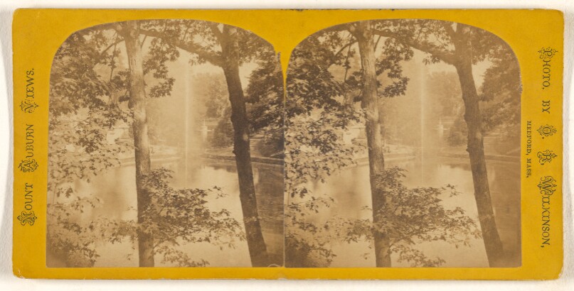 [Mount Auburn Lake, Medford, Mass.]