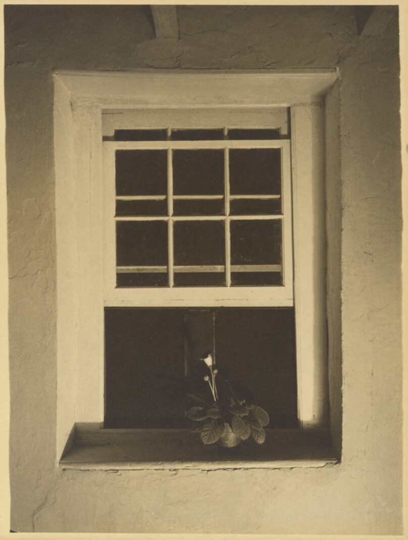 Doylestown House - Open Window