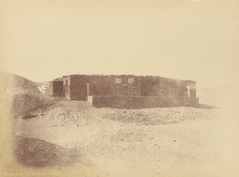 Memphis, maison du désert