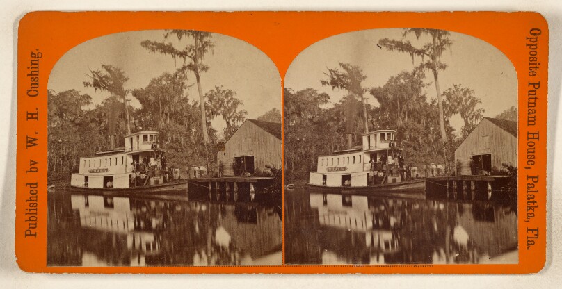 [Silver Spring, near Palatka, Florida]