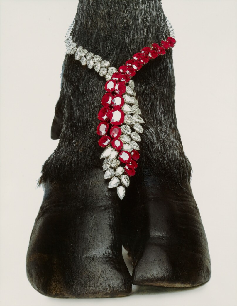 Harry Winston Necklace, New York
