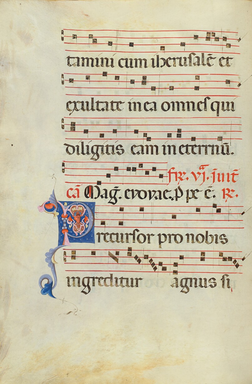 Decorated Initial P