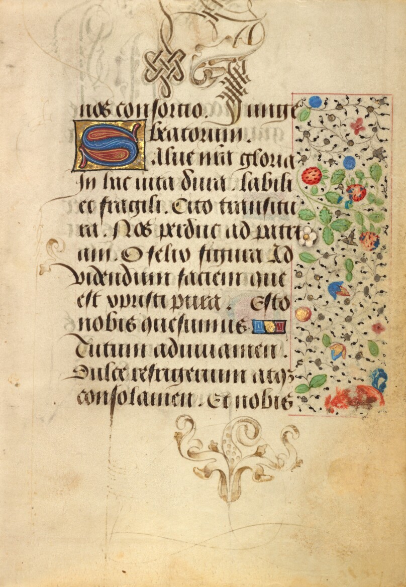 Decorated Text Page