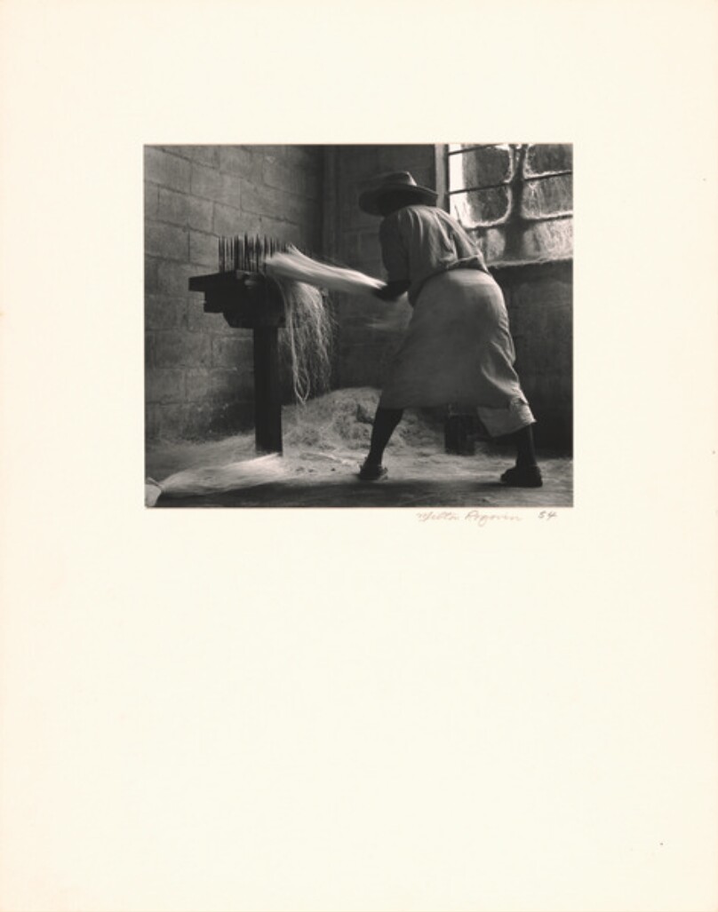Milton Rogovin