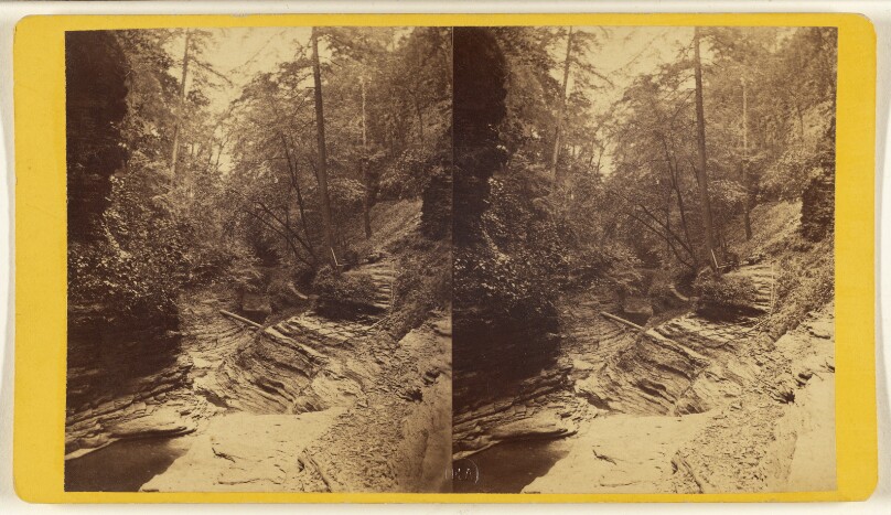 Scenery at Watkins Glen and Vicinity, N.Y. Still Water Gorge, Glen Alpha. Section No. 1.