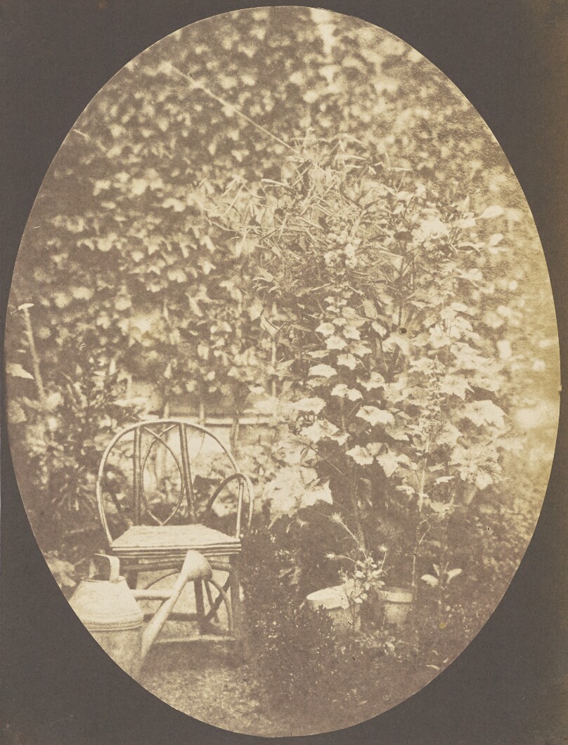 [Chair and Watering Can in a Garden]