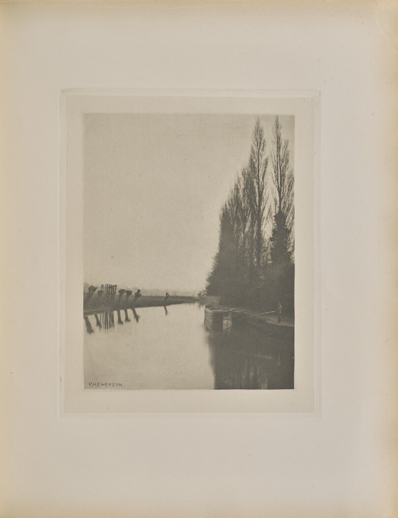 Poplars and Pollards on the Lea, Near Broxbourne
