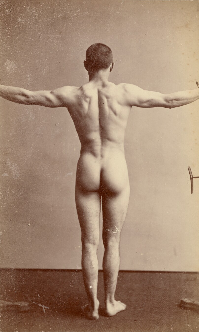 [Study of male nude]