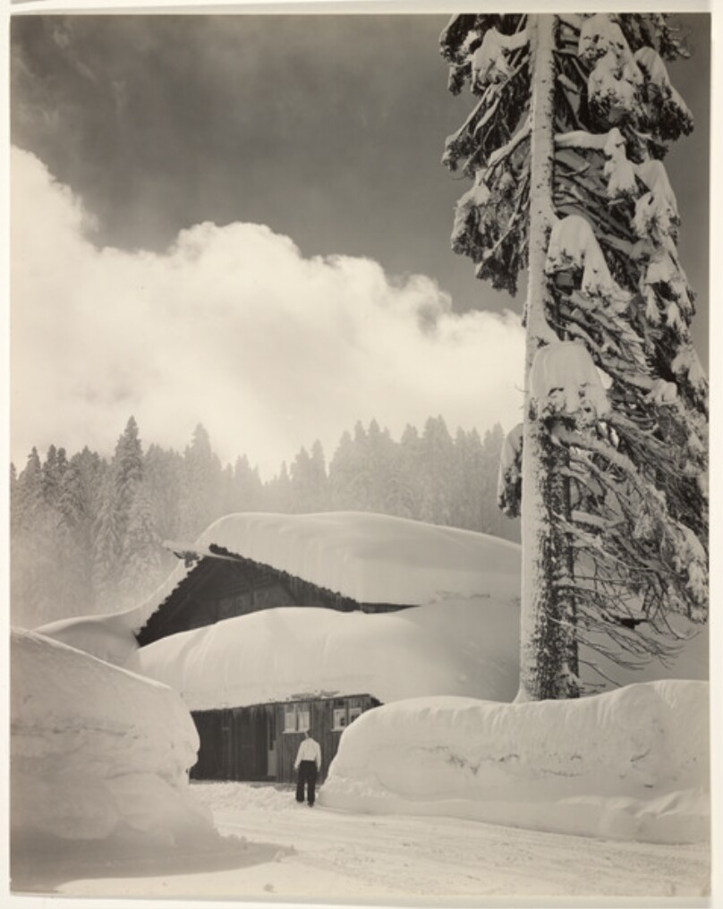 Morning, Badger Pass, Yosemite National Park