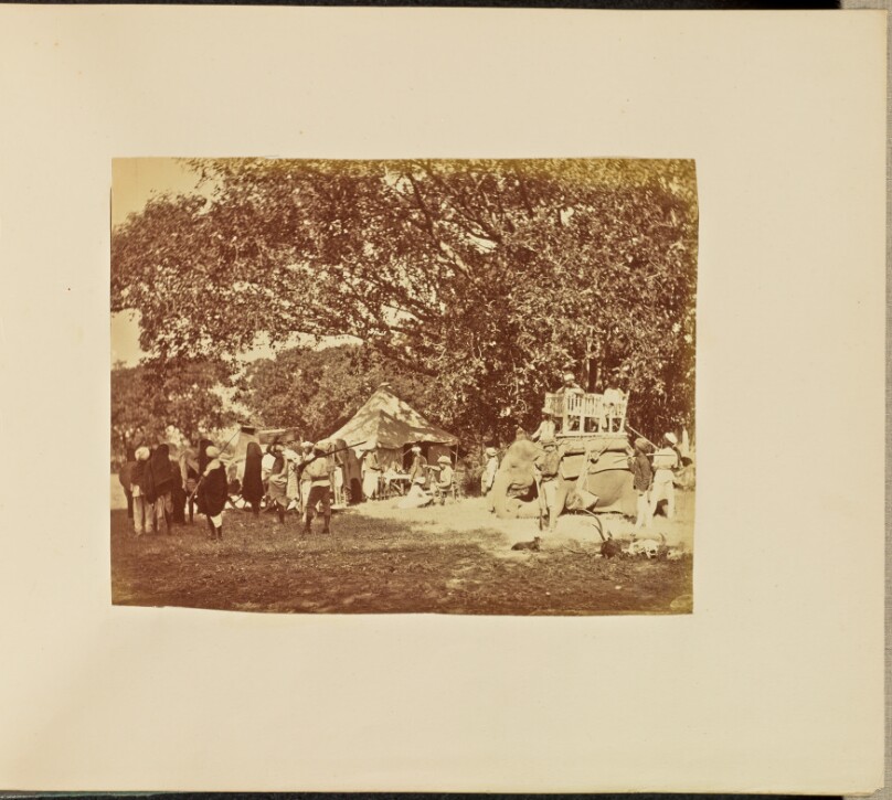 [Hunting Camp]