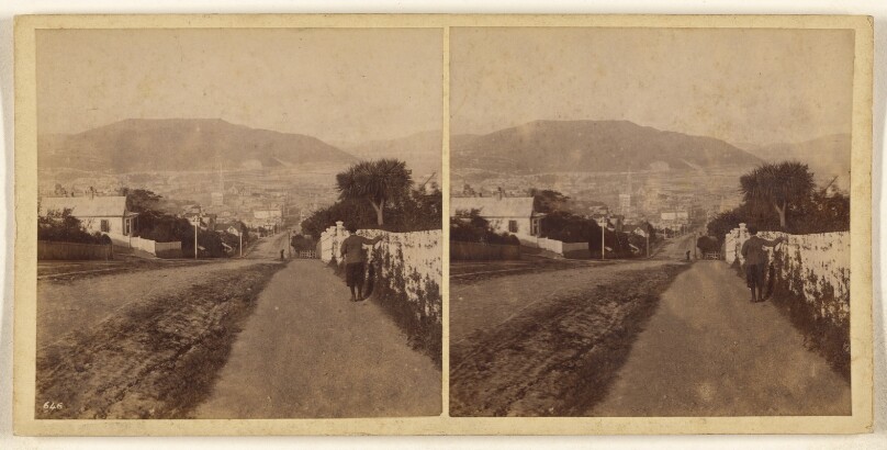 Dunedin.