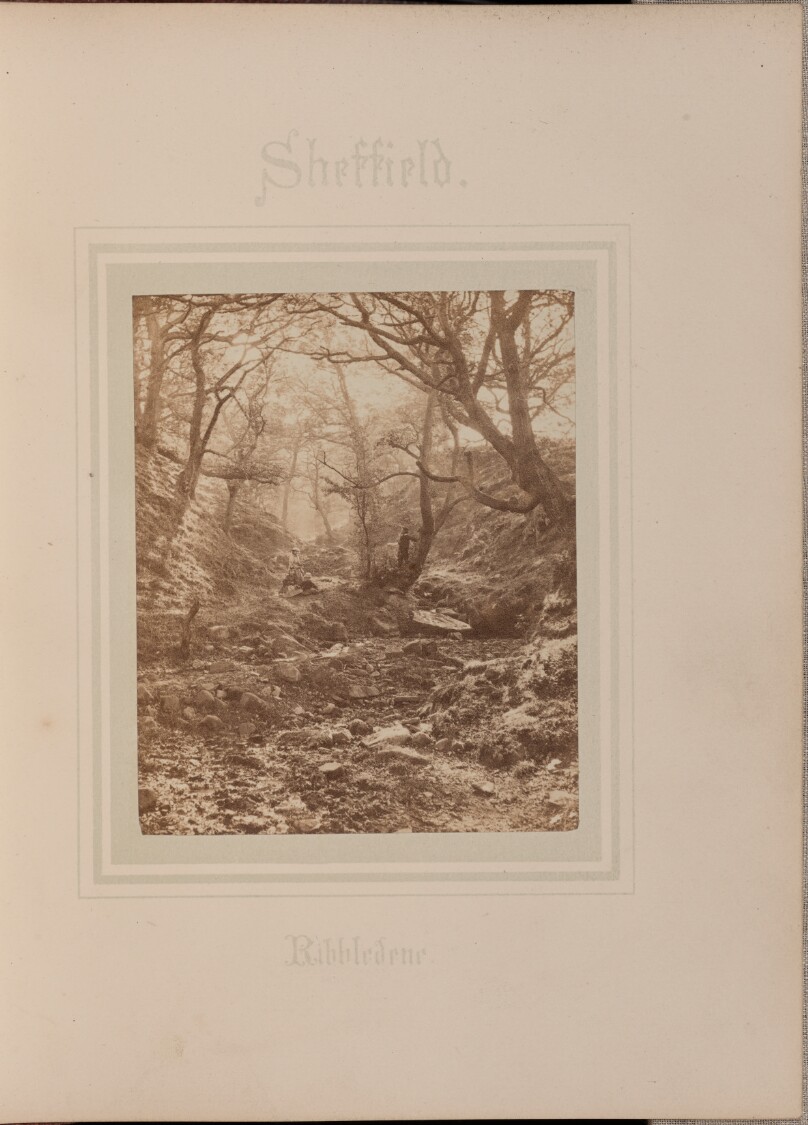 Ribbledene