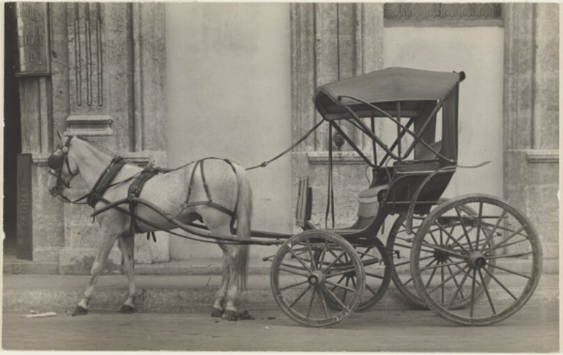 Horse Carriage, Havana